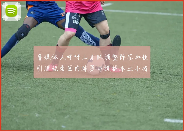 鲁媒体人呼吁山东队调整阵容加快引进优秀国内球员与提拔本土小将
