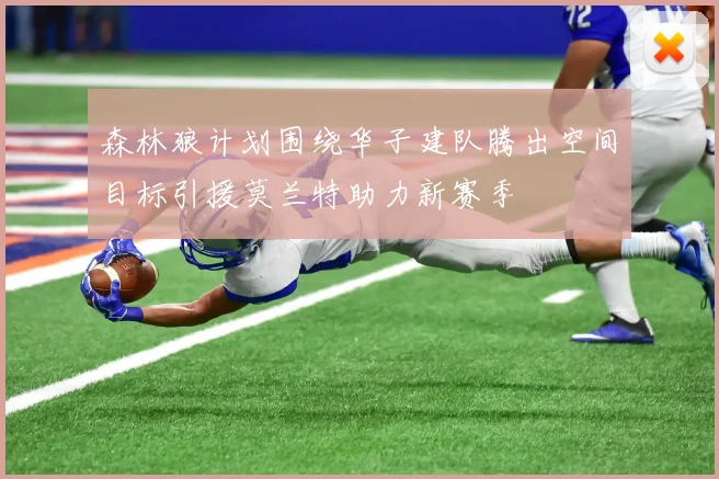 森林狼计划围绕华子建队腾出空间目标引援莫兰特助力新赛季